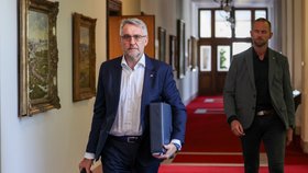 Jednání vlády: Lubomír Metnar (za ANO)
