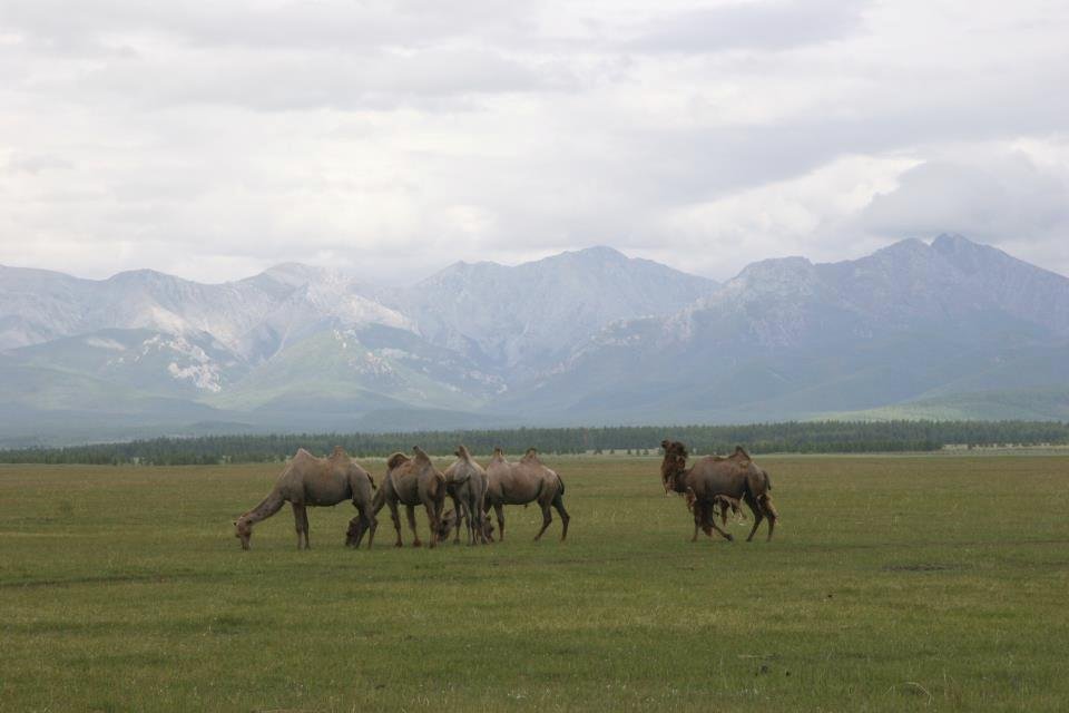 Krásná krajina řídce osídleného Mongolska.