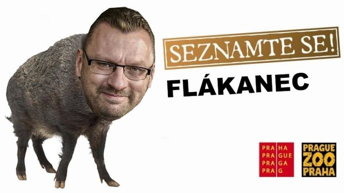 Internet si dělá legraci z poslance Volného