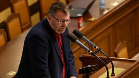 Poslanec Lubomír Volný během jednání Poslanecké sněmovny (13. 4. 2021)