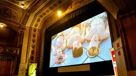 Festival das Filmfest odstartoval. To nejlepší z německy mluvených filmů můžete nyní zhlédnout v Lucerně a v kině Atlas