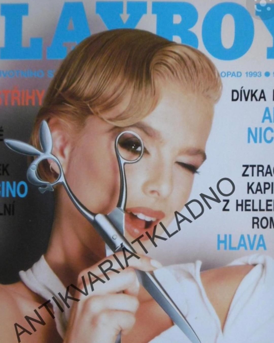 Lucie Benešová v Playboyi