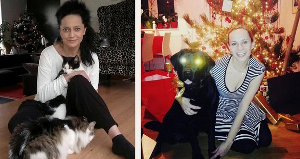 Lucie Bílá a Monika Absolonová se na Vánoce pochlubily fotkami se svými čtyřnohými miláčky