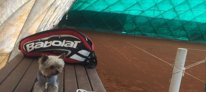 Doprovázel ji všude