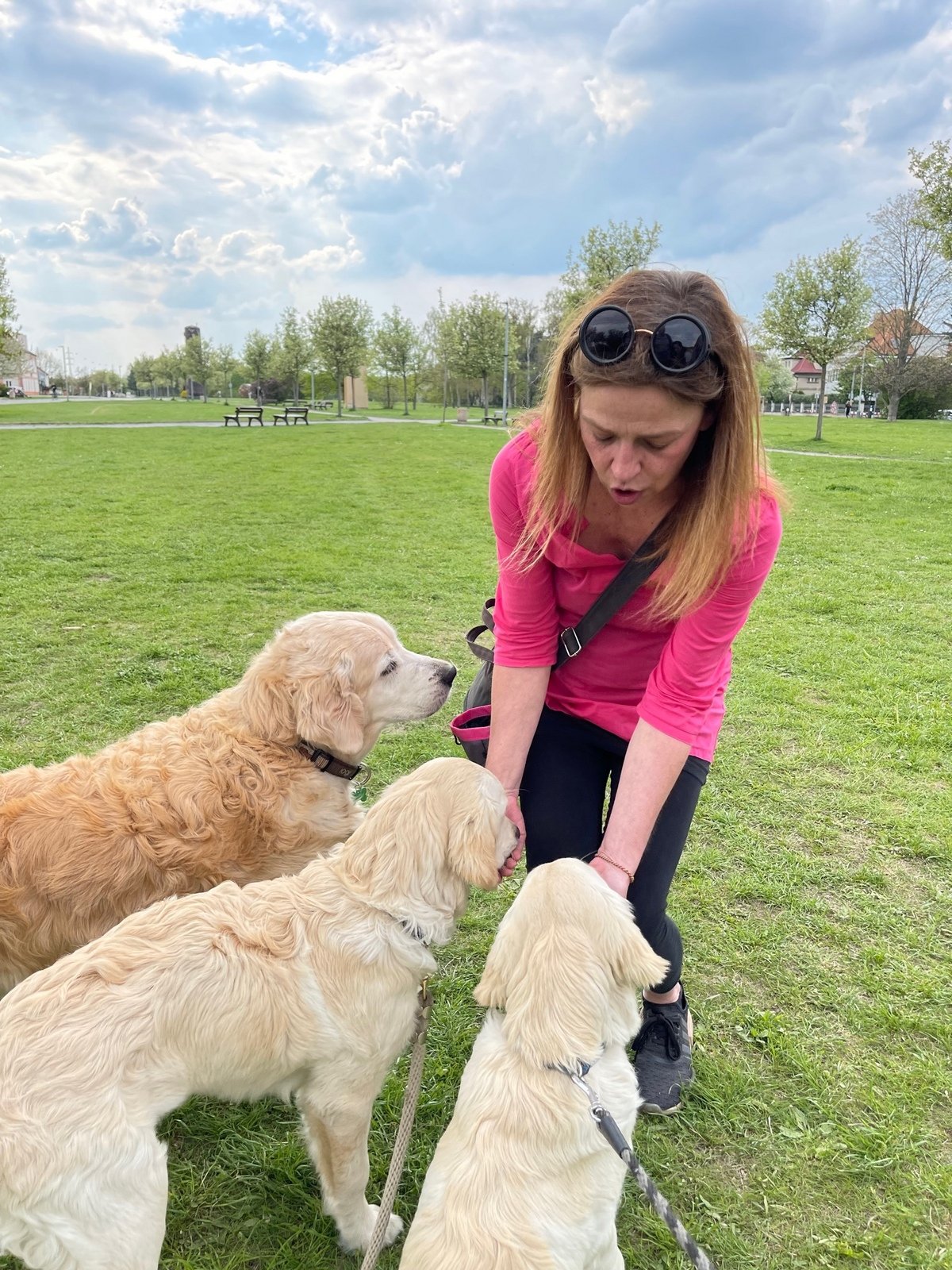 Lucie s rodinou si pořídili hned dva chlupáče a s tréninkem jim pomáhá online psí škola