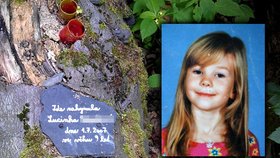 Osudná lesní stezka s torzem buku, který zabil dívku. Nyní je na něm deska se vzpomínkou na tragickou smrt Lucky D. (†9, na snímku)