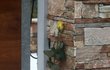 Luděk Munzar zemřel v sobotu ráno právě v rodinné vile. Od té doby k ní sousedé i fanoušci nosí květiny a zapalují u ní svíčky.