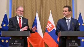 Premiér Petr Fiala (ODS) se v Bratislavě setkal se slovenským premiérem Ľudovítem Ódorem (31.5.2023)