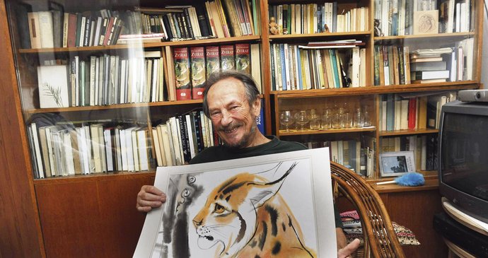 Ludvík Kunc maluje divoká zvířata, jeho portrét rysa byl kdysi ve znaku ostravské zoo.