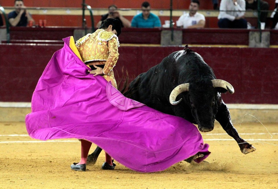 Mexický matador Luis David Adame
