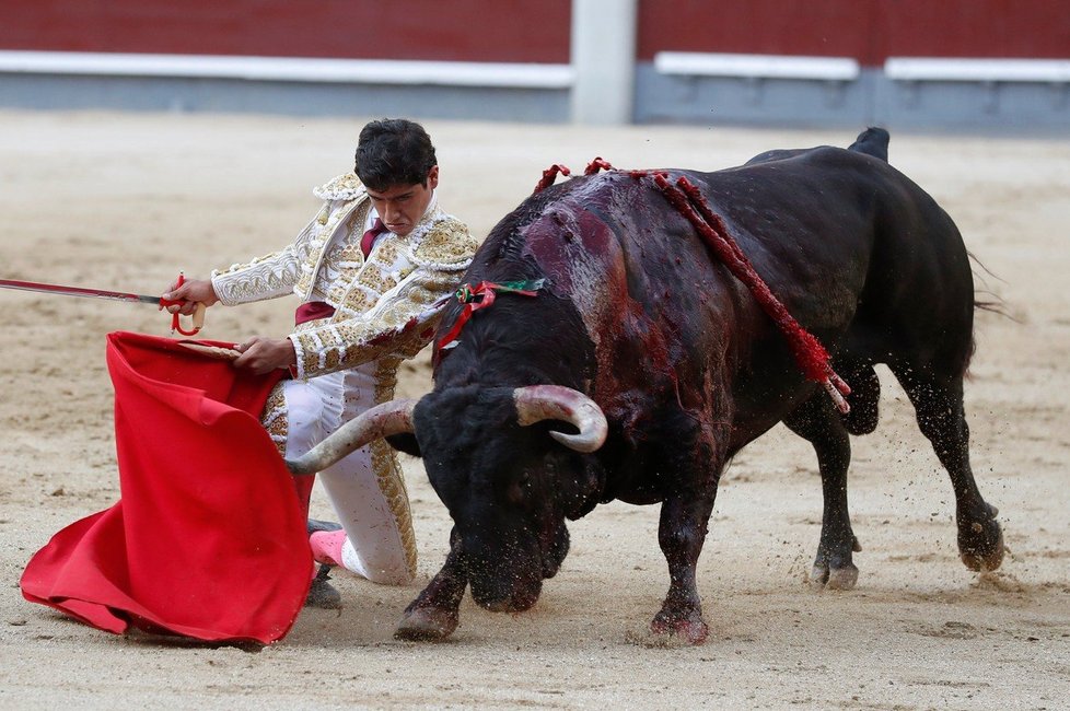 Mexický matador Luis David Adame