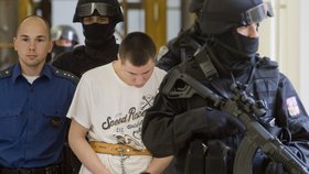 Lukáš Hajný neuspěl s odvoláním, soud potvrdil trest 18 let za ubodání policisty