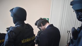 Eskortu Lukáši H. dělala početná skupina maskovaných policistů v neprůstřelných vestách. Další policisté seděli v soudní síni v civilu.
