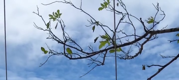 Ty a já. Eva se pochlubila 13 lety manželství s Lukášem