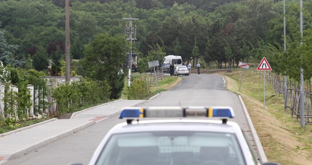 Dnes ho předaly slovenské úřady České policii.