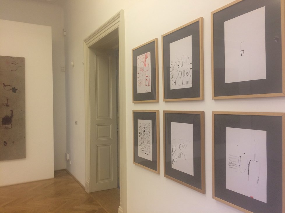 Každá místnost v galerii představuje jiný styl Musilovy tvorby. Návštěvník tak o jeho uměleckém vnímání nabude skutečně ucelenou představu.