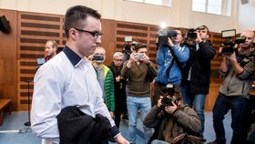 Krajský soud v Hradci Králové 20. listopadu pro nedostatek důkazů zprostil obžaloby Lukáše Nečesaného, který byl obžalován z pokusu o vraždu kadeřnice v Hořicích na Jičínsku v roce 2013.