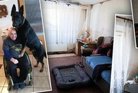 Lukáš ochrnul po nehodě: Na světě má jen Brita, potřebuje pomoci s plesnivým domem