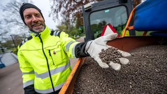 Exkrementy místo zákona: Švédské město zabraňuje lidem ve shromažďování pomocí hnoje  