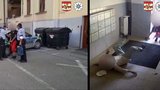 Kriminalisté dopadli bezcitného lupiče: V Brně lámal seniorům prsty!