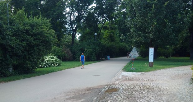 Změní se i vstup do parku z ulice Lužánecké.