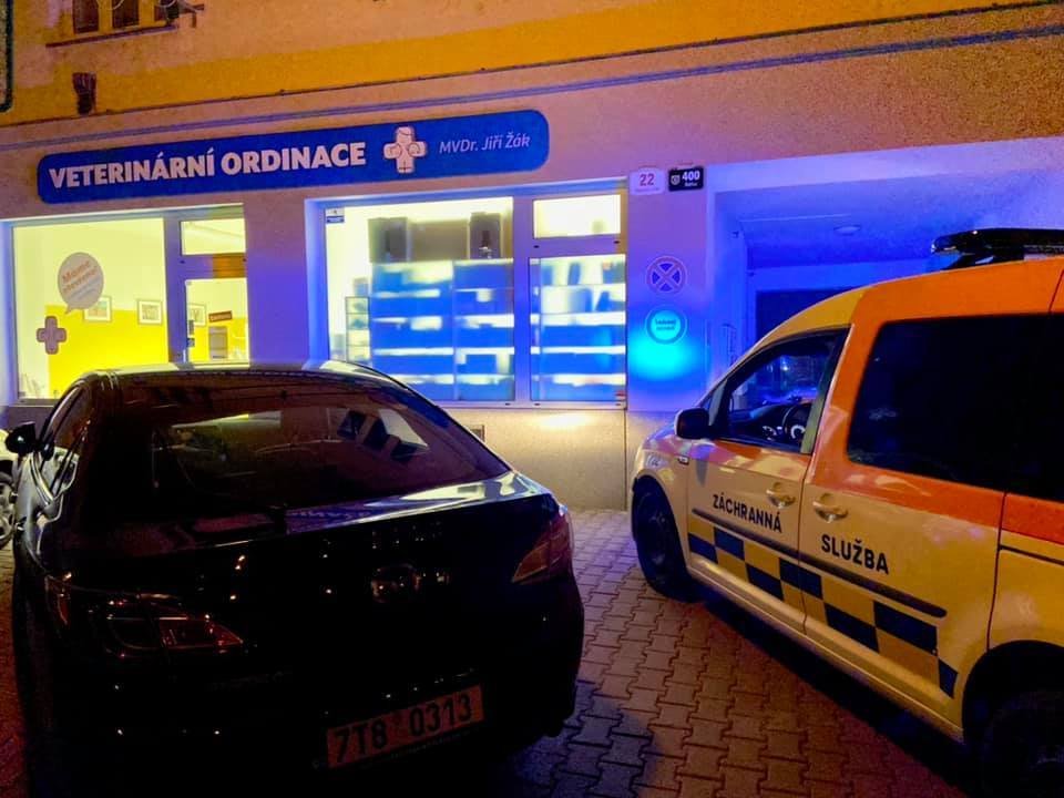 Zraněná čivava z obce Lužice.