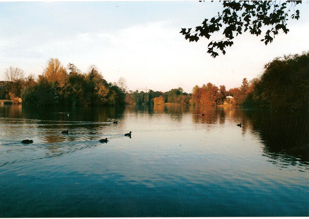 Jezero v parku Parc de la Tête d&#39;Or