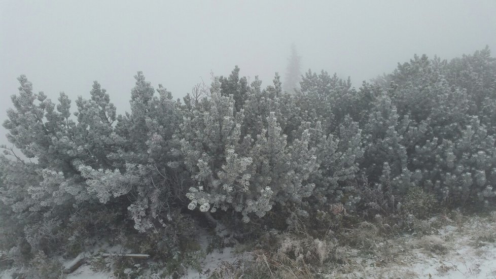 Sněhová peřina na Lysé hoře