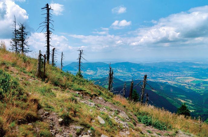 Lysá hora je s výškou 1323 m n. m. nejvyšší vrchol Moravskoslezských Beskyd a Těšínska.