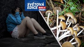 Miliony lidí v depresích: Terapie tripem jako zlatý důl? Jak pomáhá LSD a spol. v medicíně