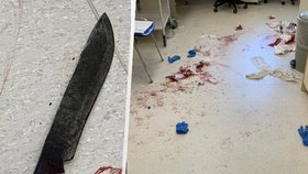 Útočník s mačetou napadl zdravotníky v českobudějovické nemocnici kvůli přítelkyni: Soud ho poslal do vazby