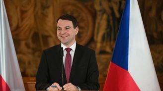 Panoptikum Vladimíra Mertlíka: Macinkova kohabitace jako nenaplněná ústavní soulož Panoptikum Vladimíra Mertlíka: Macinkova kohabitace jako nenaplněná ústavní soulož