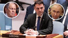 Petr Macinka se opřel do ruského protějška Sergeje Lavrova.