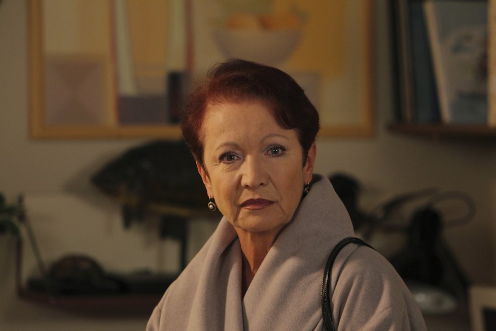 Hana Maciuchová alias Miriam Hejlová v seriálu Ulice za roli získala hned několik cen TýTý.