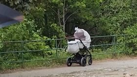 Policie na místě zajišťovala důkazy. Mezi nimi byl i kočárek...