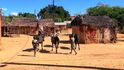 Madagaskar je velice chudá země, navíc závislá na cestovním ruchu Madagaskar je velice chudá země, navíc závislá na cestovním ruchu