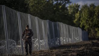 Čeští vojáci půjdou opět chránit hranice Schengenu, pokud o to Maďaři požádají