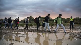 Jak stabilizovat a řešit migrační krizi - díl třetí: Integrace Jak stabilizovat a řešit migrační krizi - díl třetí: Integrace