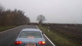 Řidiče v Maďarsku překvapili jeleni na silnici: Byly jich stovky