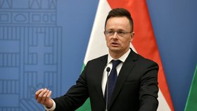 Maďarský ministr zahraničí Péter Szijjártó označil kritiku Vladimira Putina za „obrovské pokrytectví“.