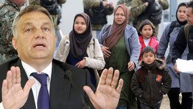 Německo prý uzavřelo „tajnou dohodu“. Do EU má přijít půl milionu imigrantů.