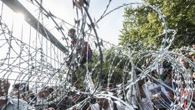 Žiletkový plot proti uprchlíkům v Maďarsku