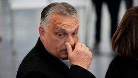 Parlamentní volby v Maďarsku: Premiér Viktor Orbán odevzdal svůj hlas (3.4.2022)