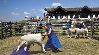 Pusta: Rozlehlá maďarská pláň je krajem kovbojů Pusta: Rozlehlá maďarská pláň je krajem kovbojů