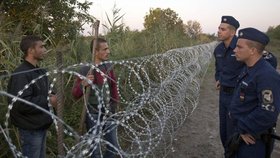 Maďarští běženci se přes hraniční plot baví s běženci na srbské straně hranice