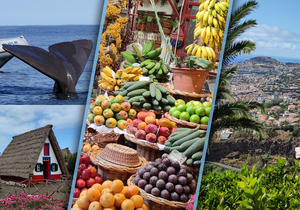 Madeirské hlavní město Funchal a jeho okolí je ideálním cílem cest v každé roční době. Dovoluje odpočívat, sportovat a hlavně objevovat bezpočet místních krás.