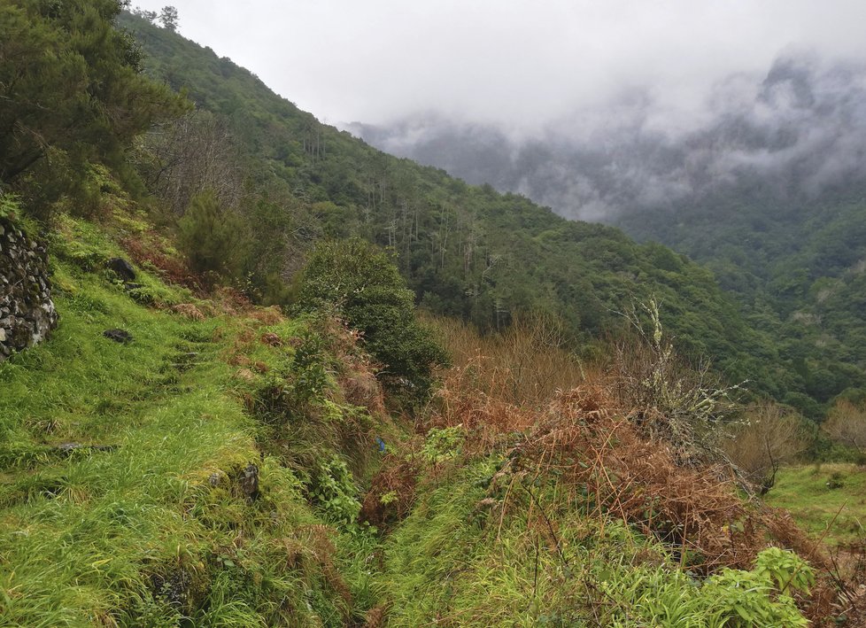 Pro ty, kdo holdují pěší turistice,  mají rádi i kratší procházky a hlavně přírodní krásy, je Madeira ideálním místem.