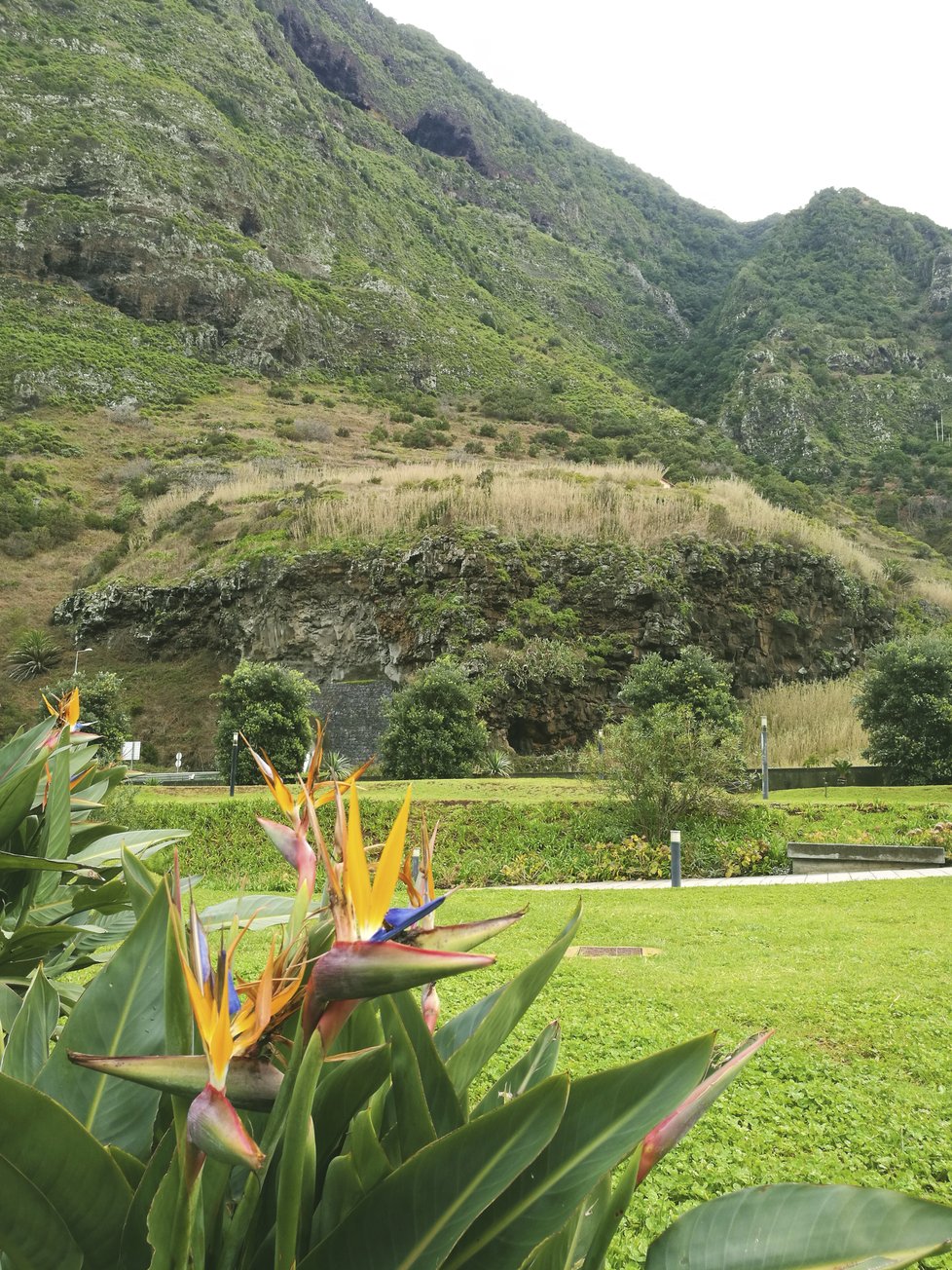 Pro ty, kdo holdují pěší turistice,  mají rádi i kratší procházky a hlavně přírodní krásy, je Madeira ideálním místem.