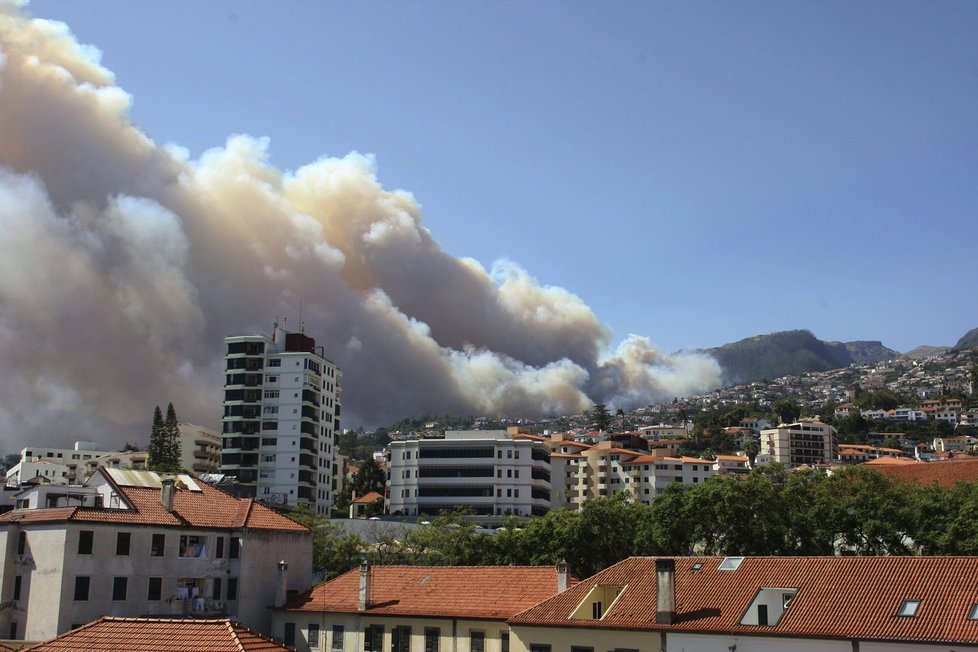 Loni zasáhly Madeiru lesní požáry.
