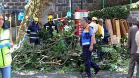 Na Madeiře spadl strom. Zabil nejméně 10 lidí.